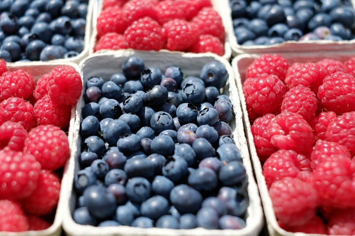 berries-1493905_960_720.jpg